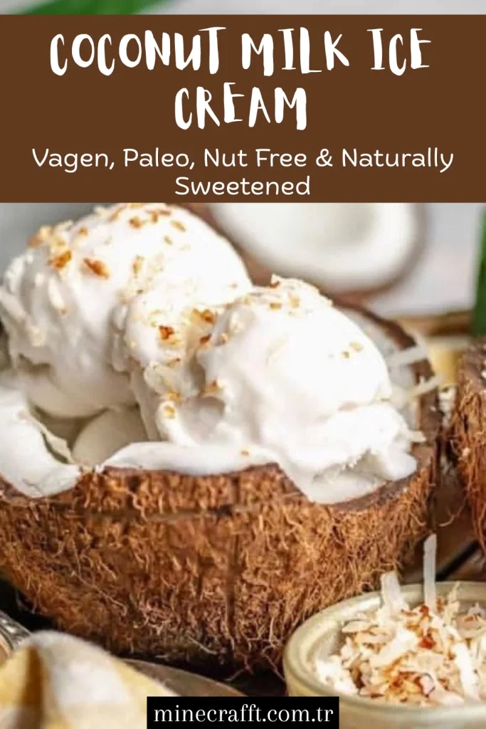 Homemade Creamy Coconut Milk Ice Cream Recipe
