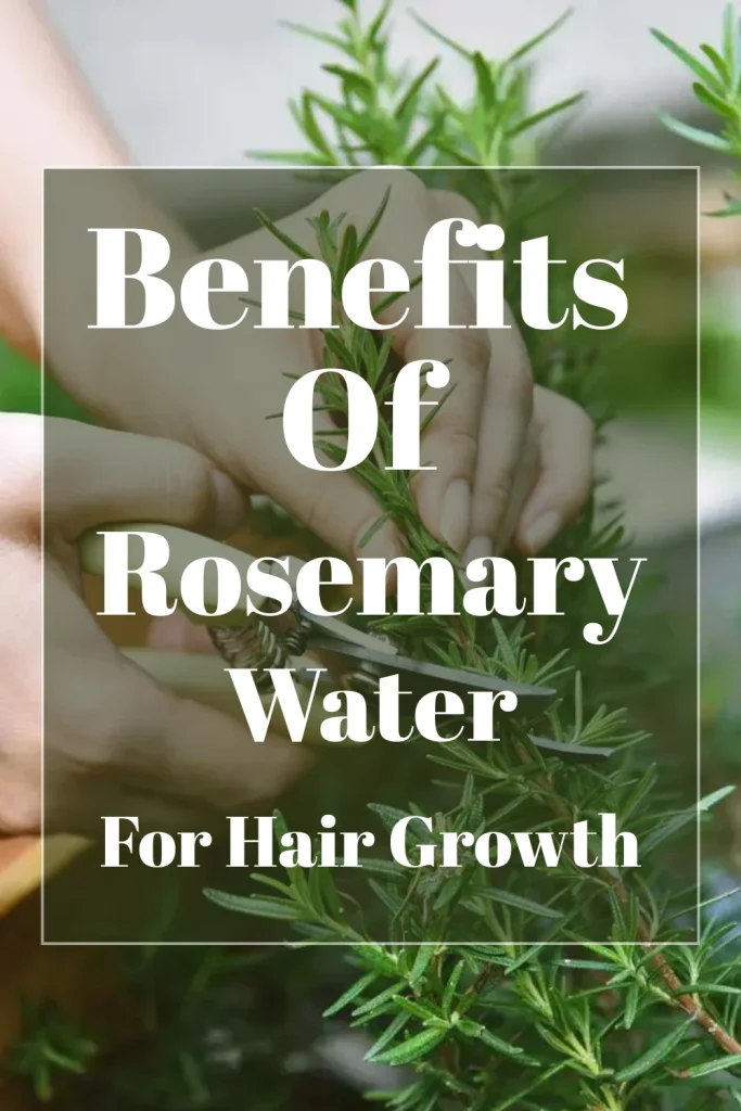 Rosemary Water for Hair Growth