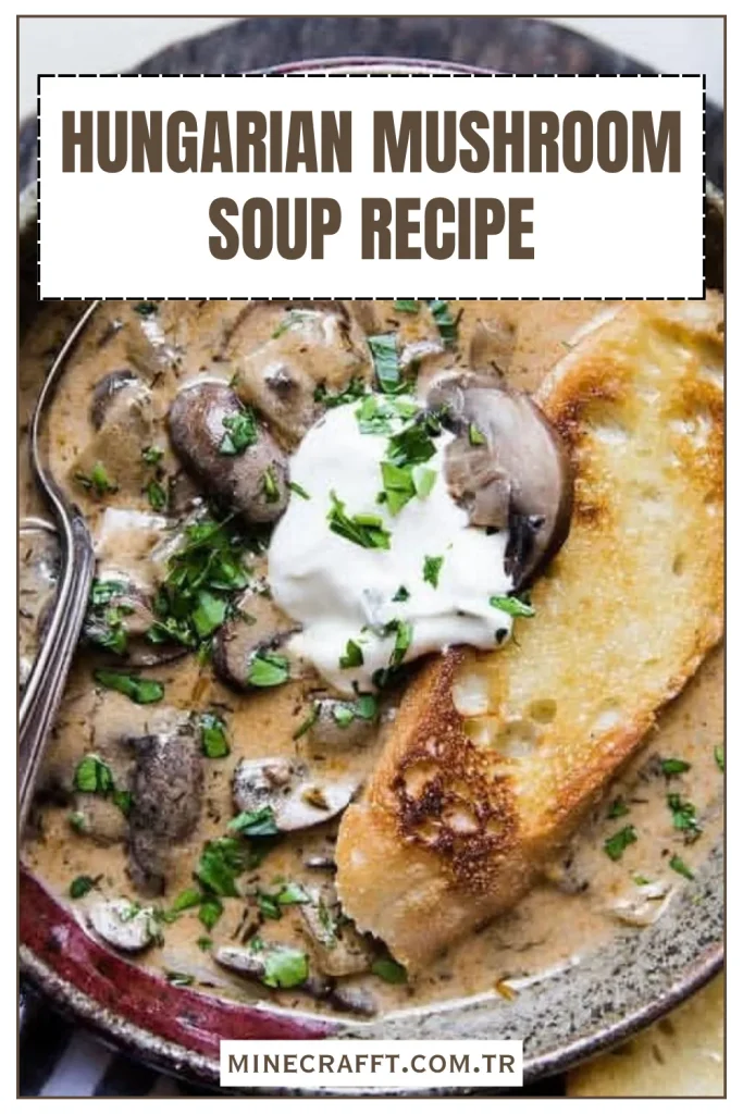 What Is Hungarian Mushroom Soup?