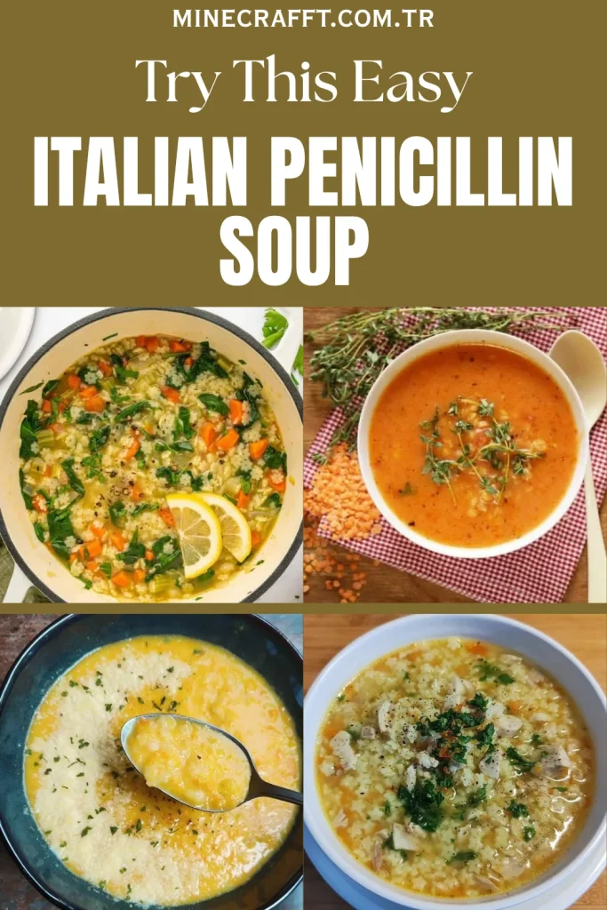 Penicillin Soup 