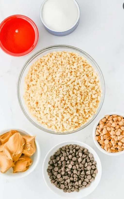 Main Ingredients for Perfect Crispy Rice