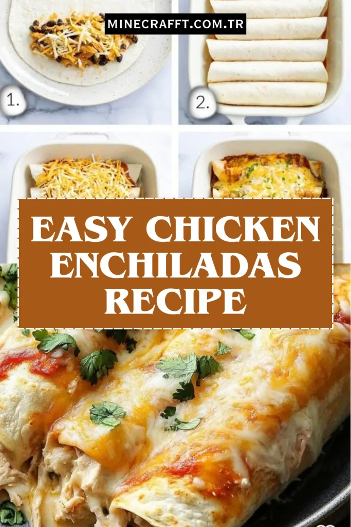 What Are Cheesy Chicken Enchiladas?