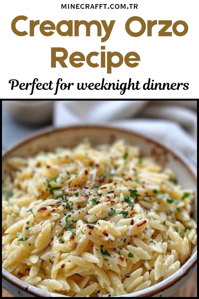 Main Ingredients for Creamy One-Pot Orzo