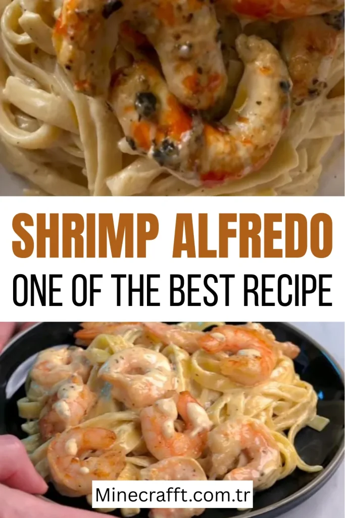 Shrimp Alfredo Recipe