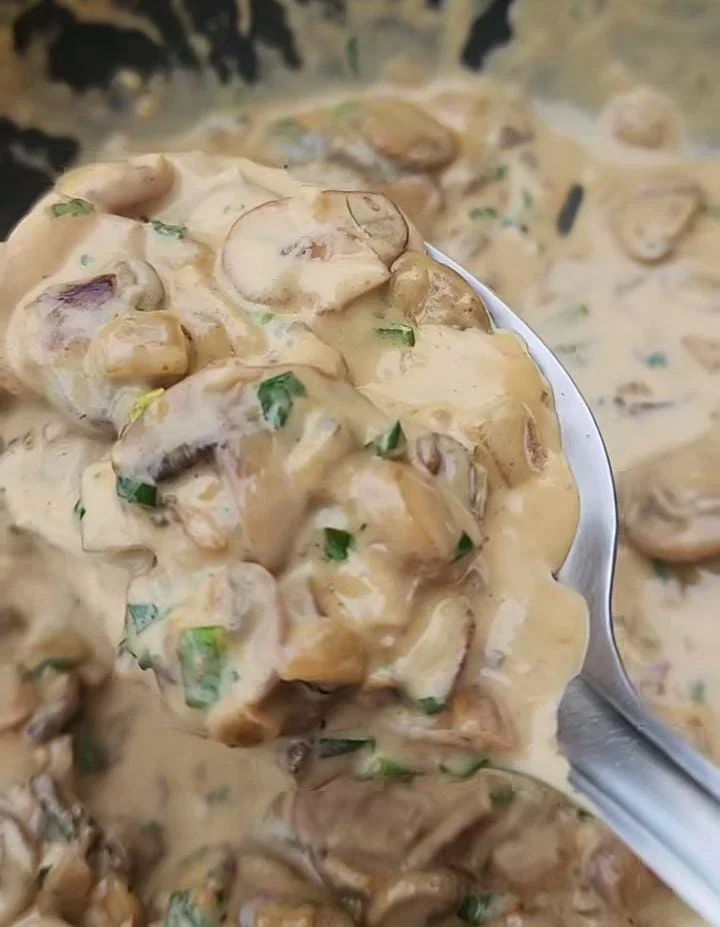 Mushroom & Caramelized Onion Sauce