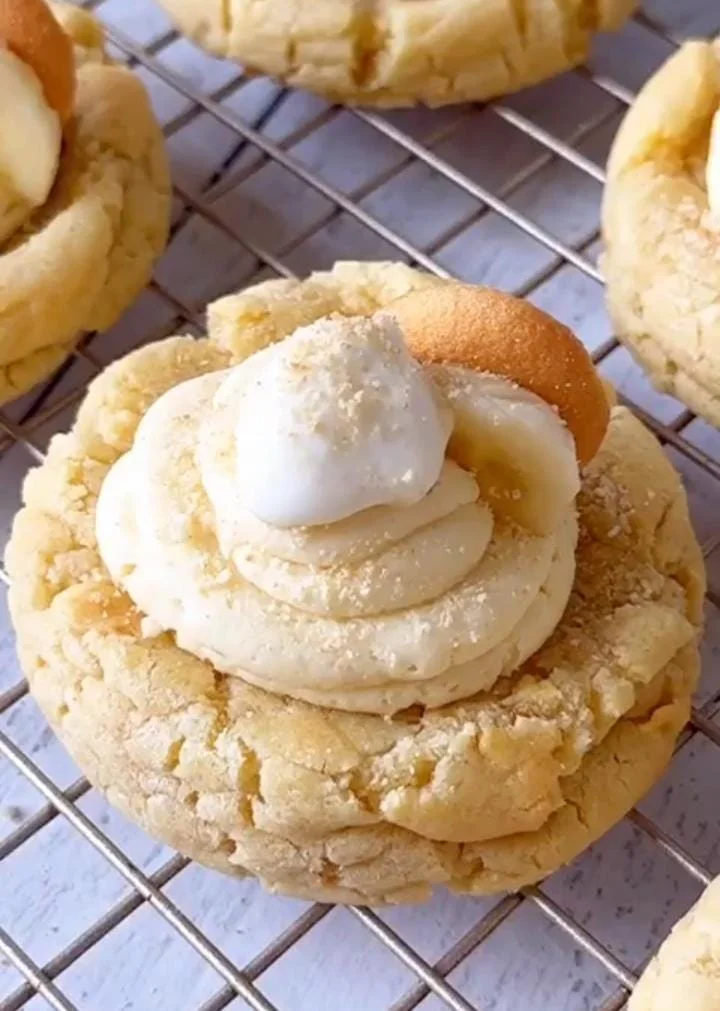 Double Chocolate Banana Cookies