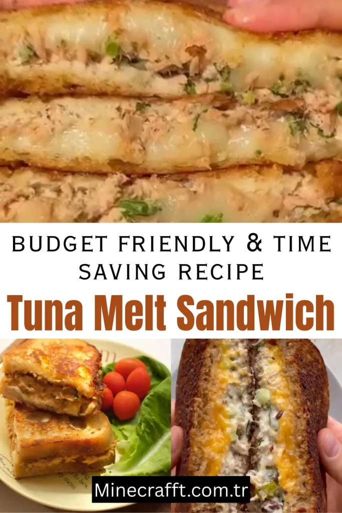 Tuna Melt Sandwich