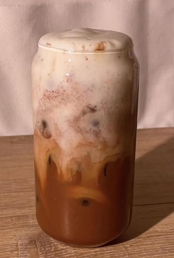 Mocha Iced Coffee | Cold Coffee Recipes