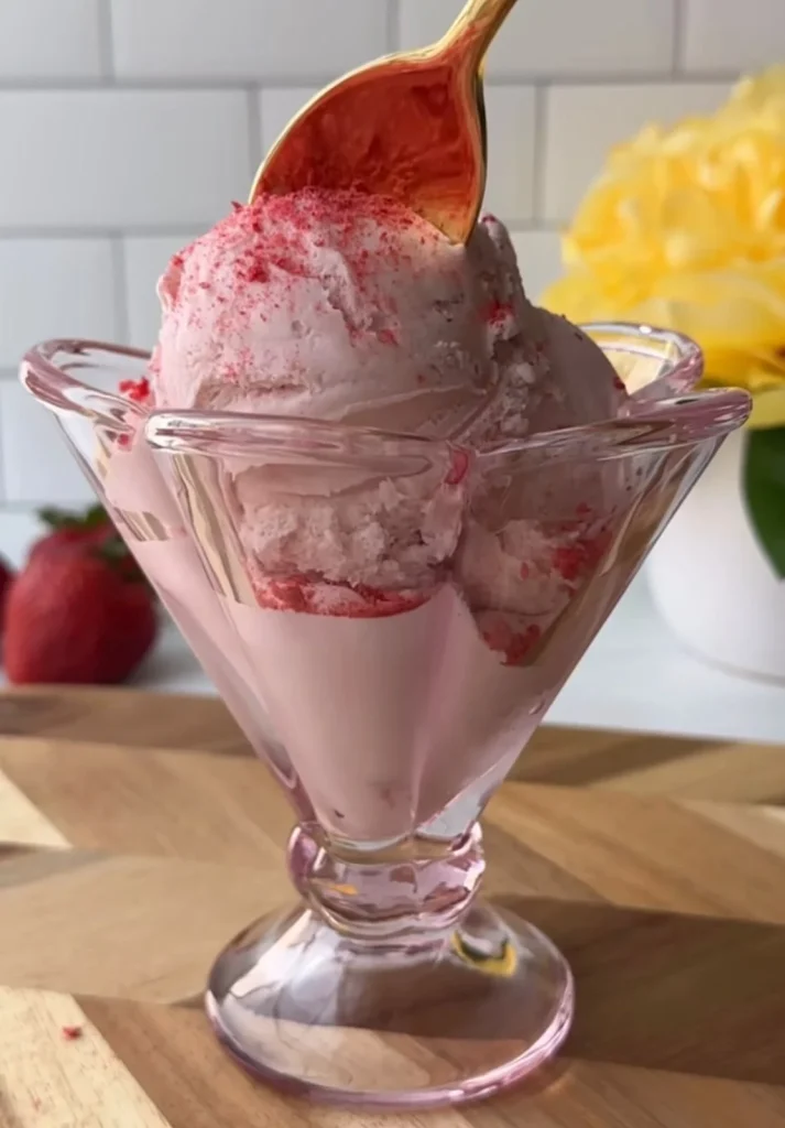Strawberry Coconut ice Cream