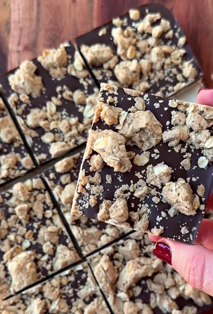 Chocolate Fudge Picnic Dessert Bars
