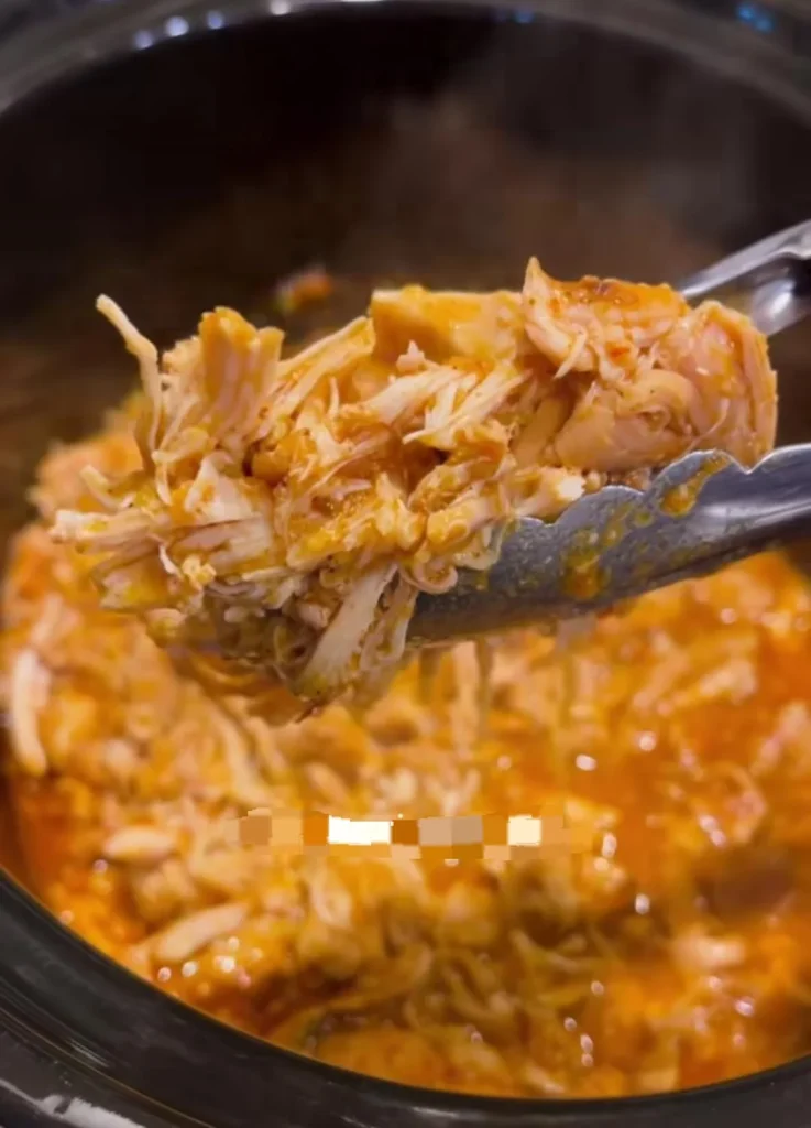 Crockpot Salsa Chicken Summer Meals Recipe