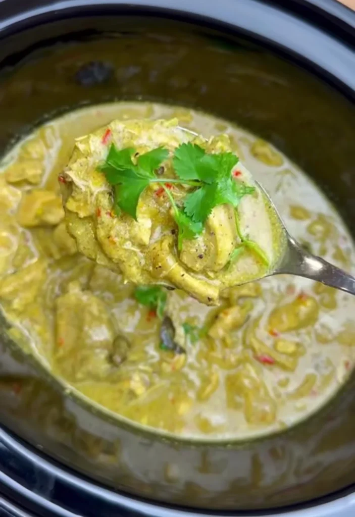 Coconut Curry Crockpot Chicken Thighs