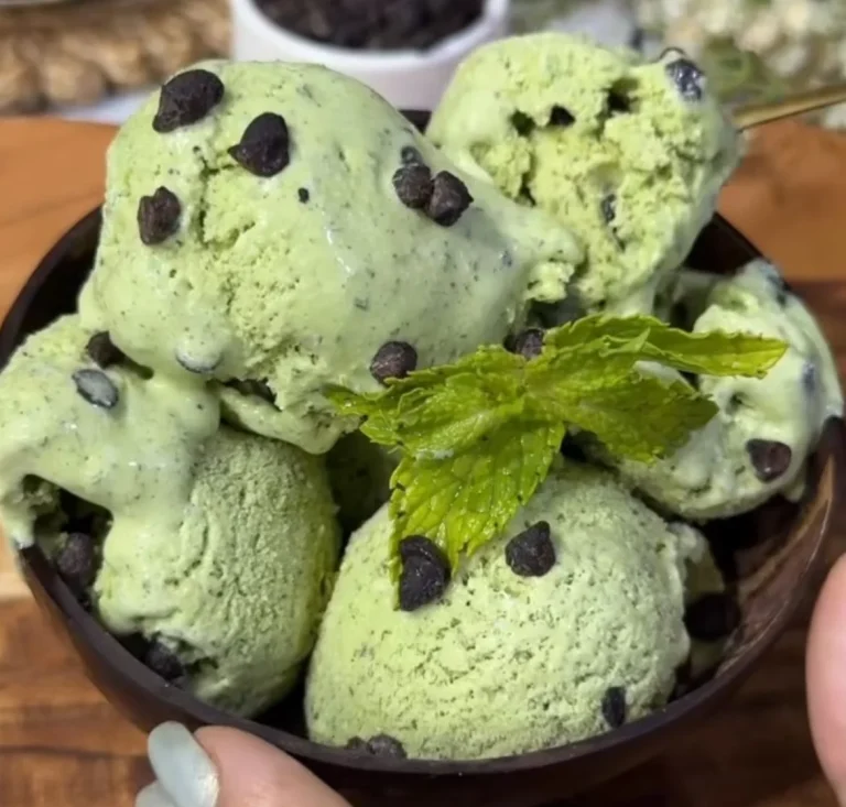 Mint Chocolate Chip Ice Cream