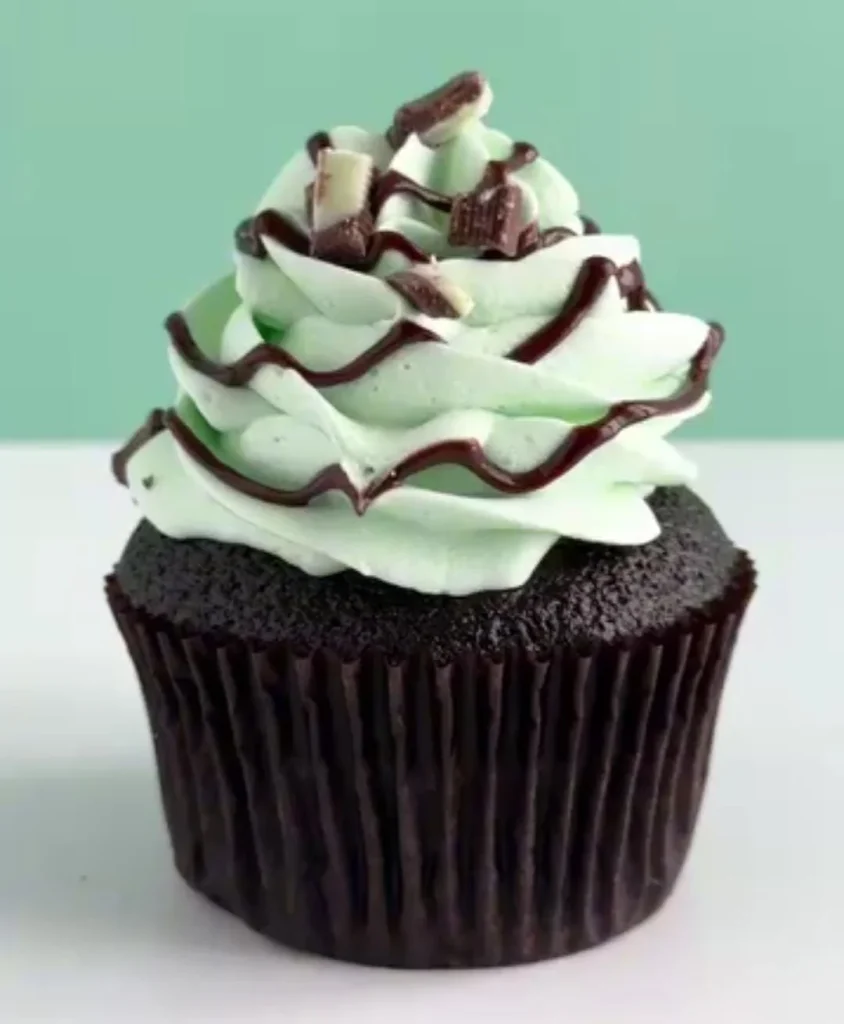 Mint Chocolate Cupcakes