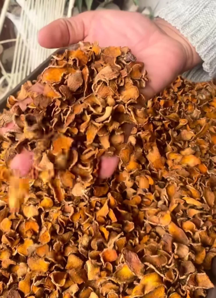 Turmeric