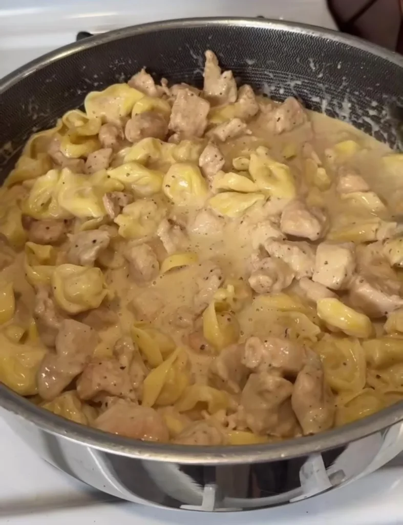 Chicken Alfredo Tortellini