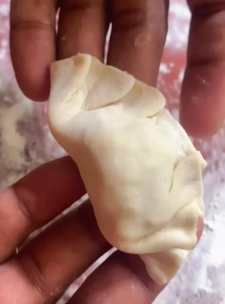 Seal the Dumplings
