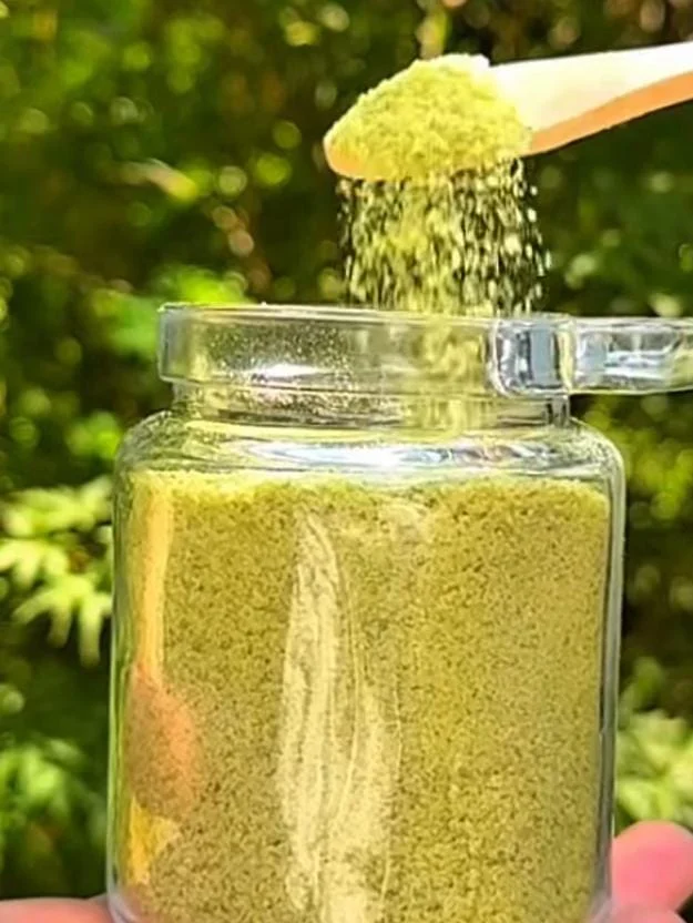 Garlic Basil Salt Recipe