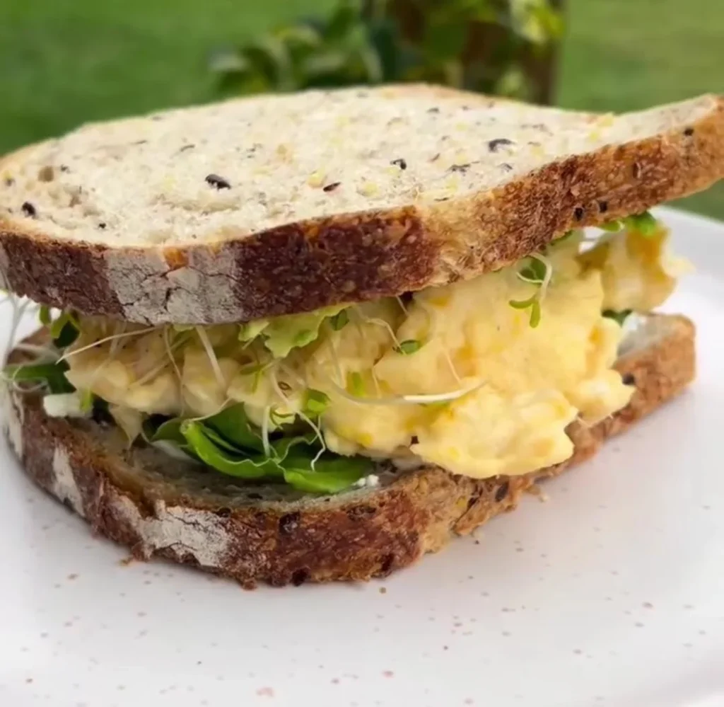Avocado Sprouts Sandwich Recipe with Cheese